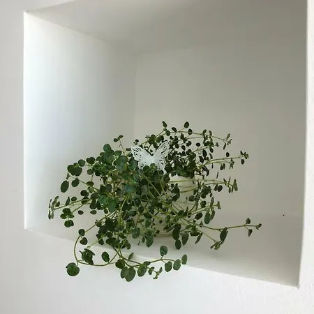 In Te Domine Speravi Volosko, Apartmán Opatija